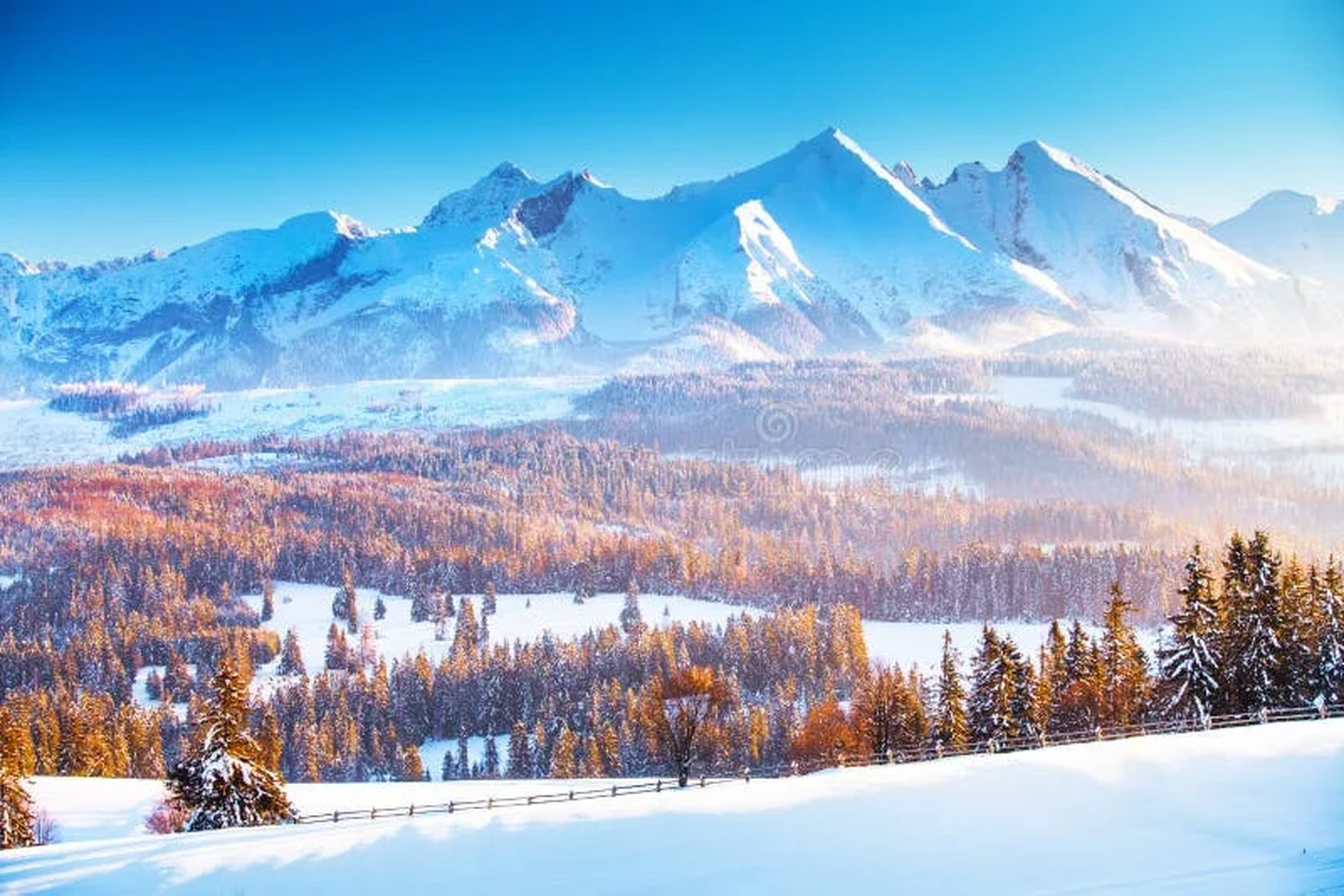 杏彩娱乐推荐阿斯彭雪堆山冬季美景